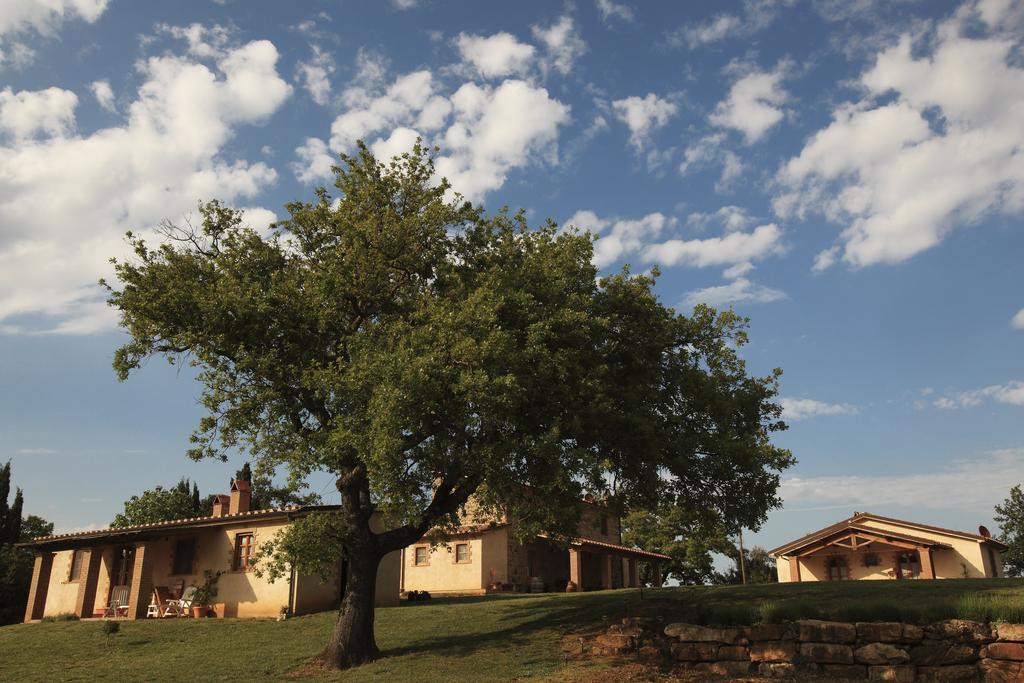 Agriturismo Belvedere Di Pierini E Brugi Villa Campagnatico Exterior photo