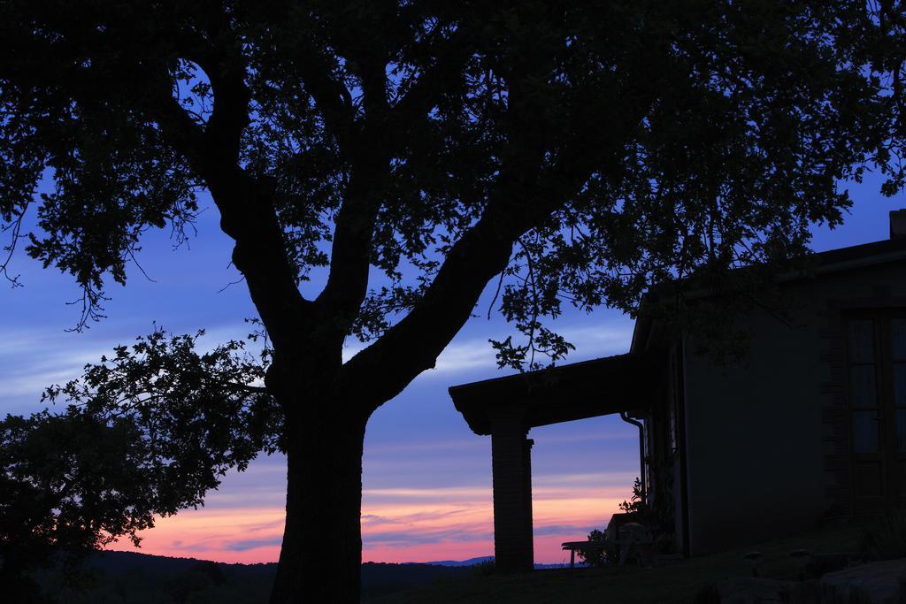 Agriturismo Belvedere Di Pierini E Brugi Villa Campagnatico Room photo