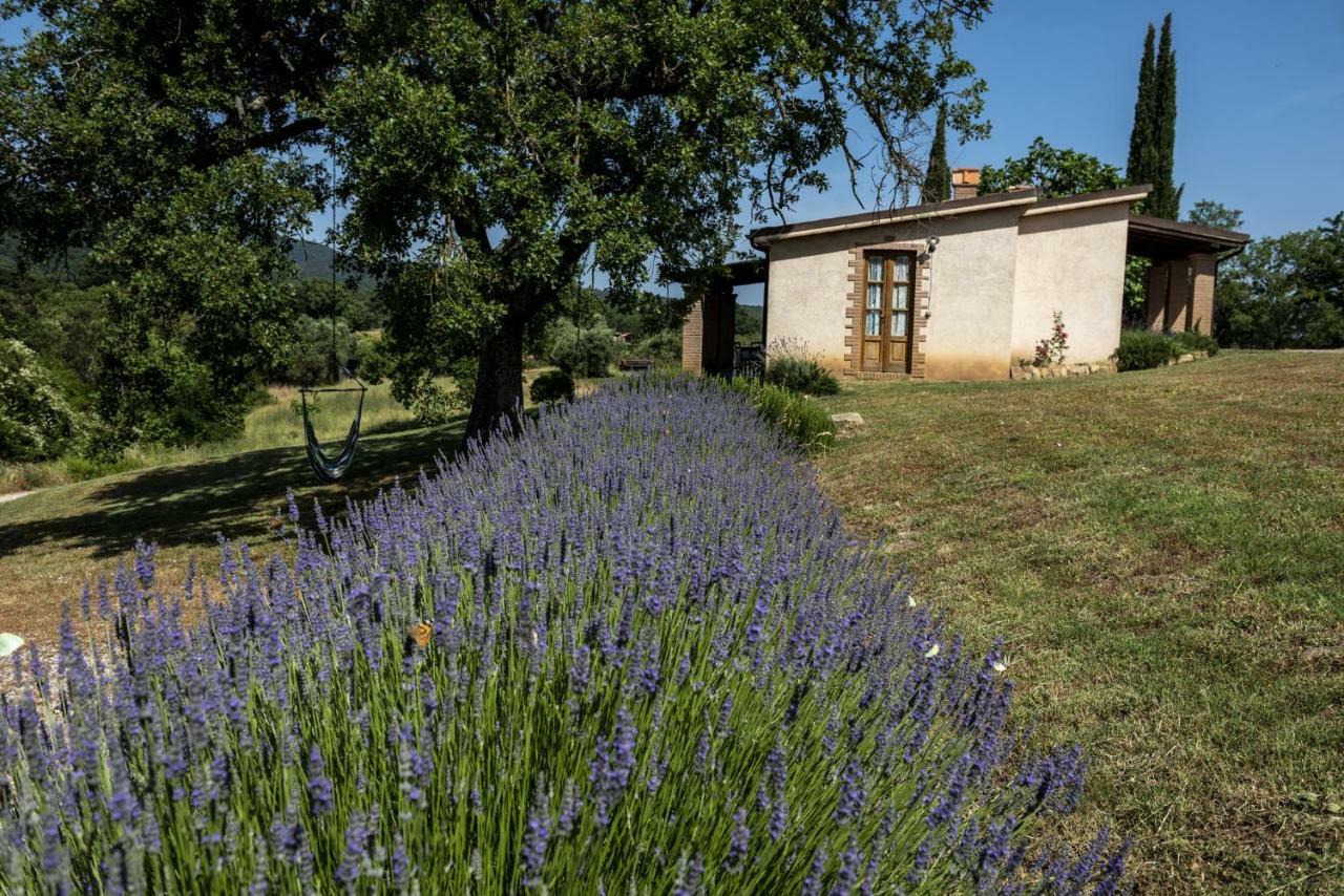 Agriturismo Belvedere Di Pierini E Brugi Villa Campagnatico Exterior photo